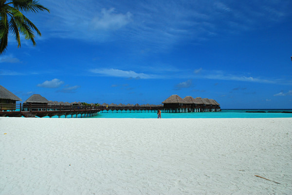 马尔代夫自助游图片