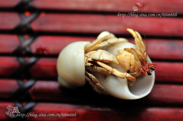 马尔代夫旅游攻略图片 马尔代夫旅游攻略图片