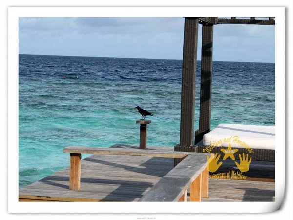 马尔代夫景点图片 马尔代夫景点图片