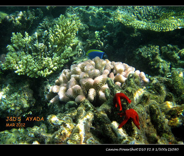 马尔代夫旅游攻略图片