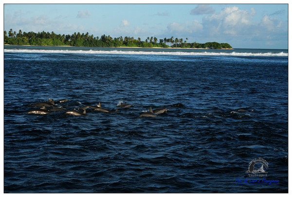马尔代夫景点图片