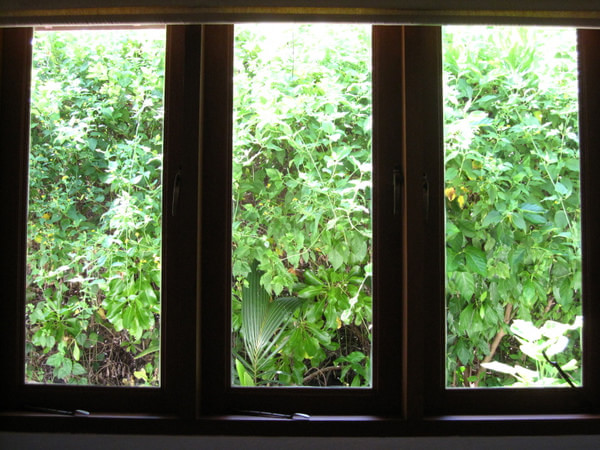 马尔代夫自助游图片 马尔代夫自助游图片