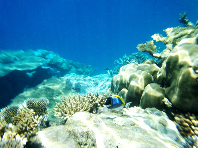 图说马尔代夫鲁滨逊岛游记