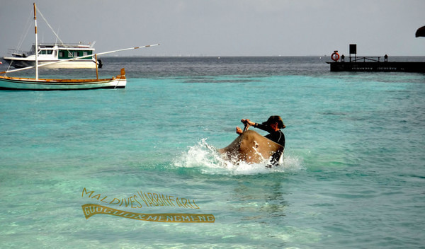 马尔代夫图片 马尔代夫图片
