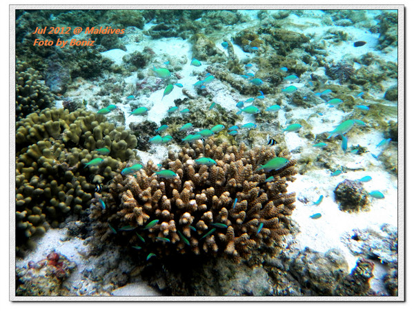 卡努呼拉岛图片 卡努呼拉岛图片