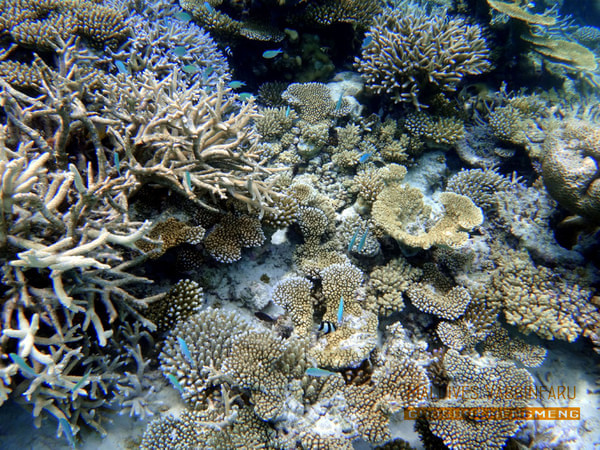 马尔代夫图片 马尔代夫图片