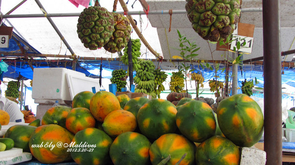 迪拜旅游攻略图片 迪拜旅游攻略图片