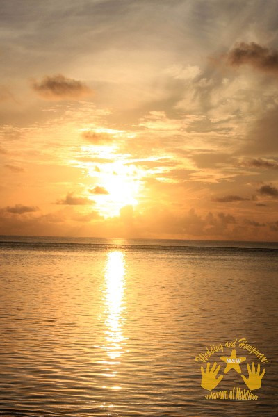 马尔代夫自助游图片 马尔代夫自助游图片