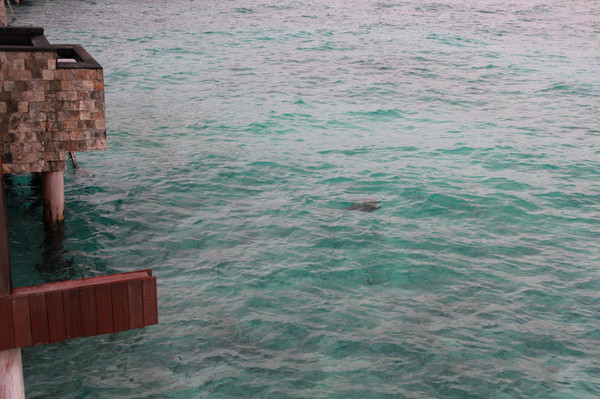 马尔代夫旅游攻略图片