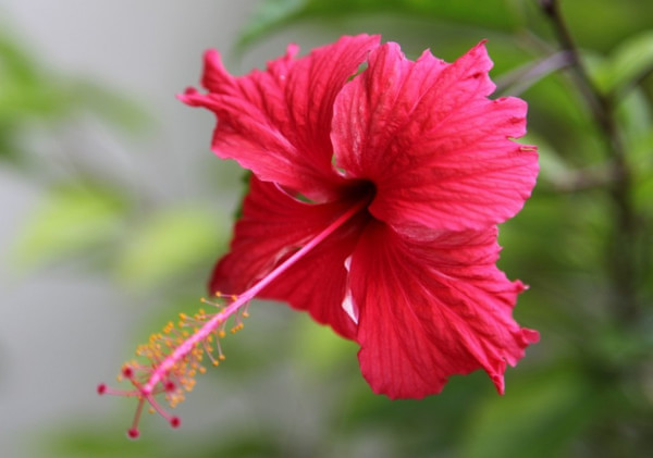 马尔代夫自助游图片