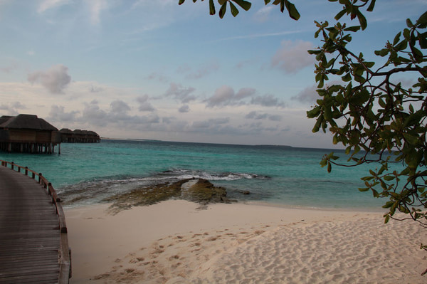 马尔代夫自助游图片