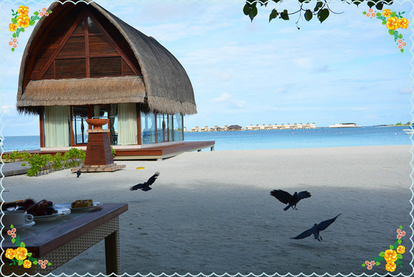 薇拉瓦鲁岛图片