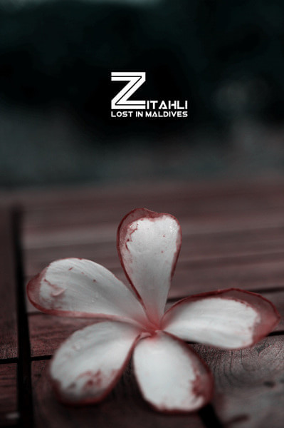 马尔代夫景点图片