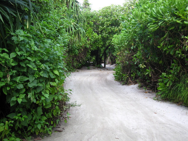 马尔代夫景点图片 马尔代夫景点图片