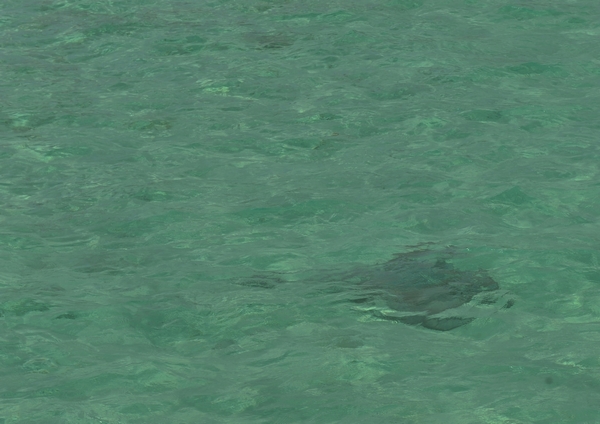 马尔代夫自助游图片