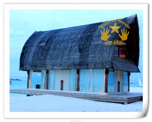 马尔代夫自助游图片 马尔代夫自助游图片