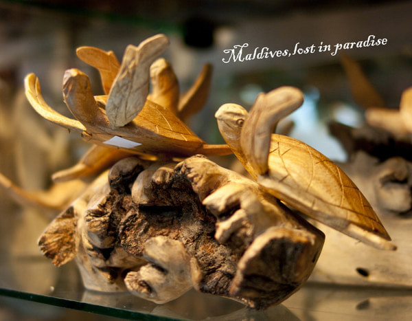 马尔代夫自助游图片