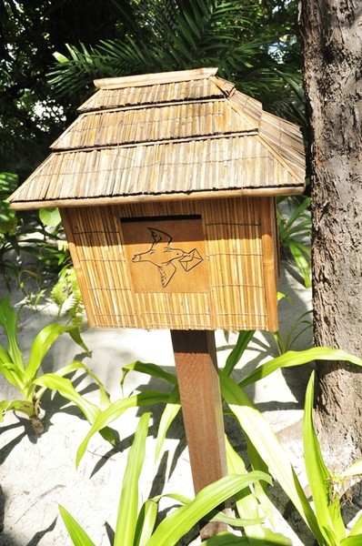 马尔代夫自助游图片