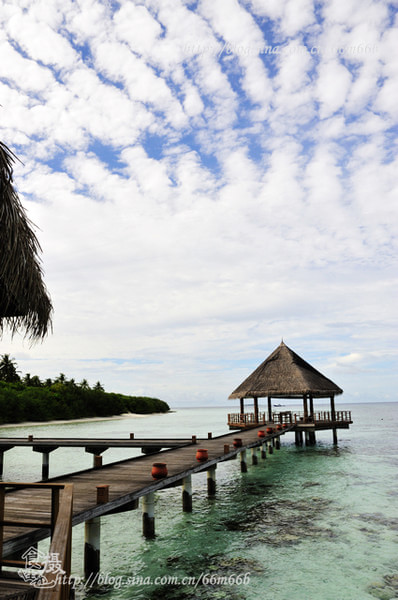 马尔代夫自助游图片
