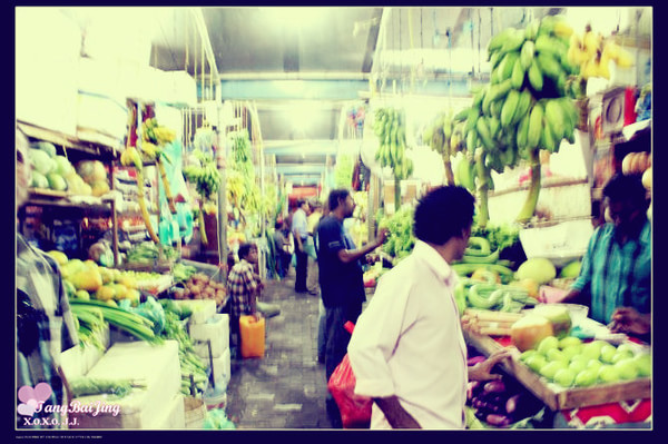 马尔代夫自助游图片