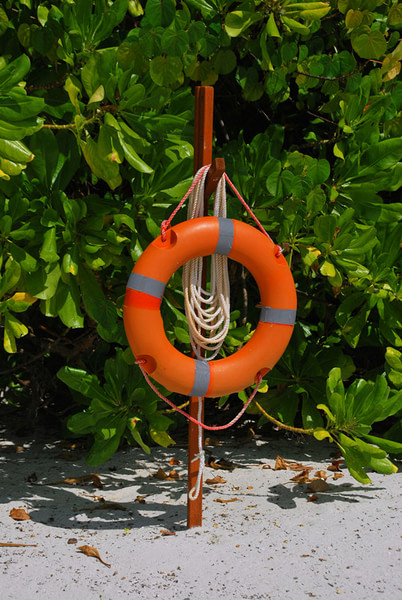 马尔代夫自助游图片