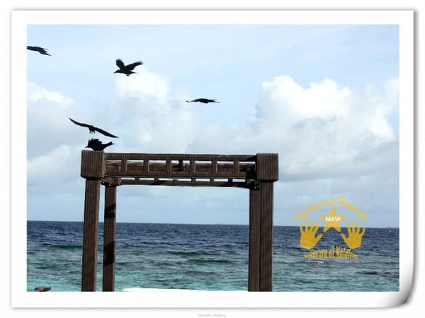 马尔代夫图片 马尔代夫图片