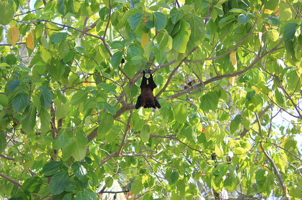 马尔代夫景点图片