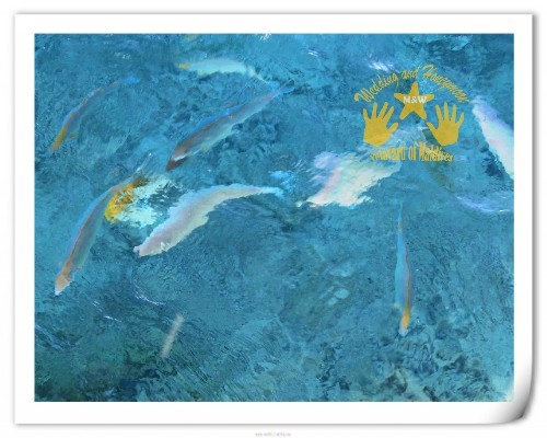 马尔代夫景点图片 马尔代夫景点图片