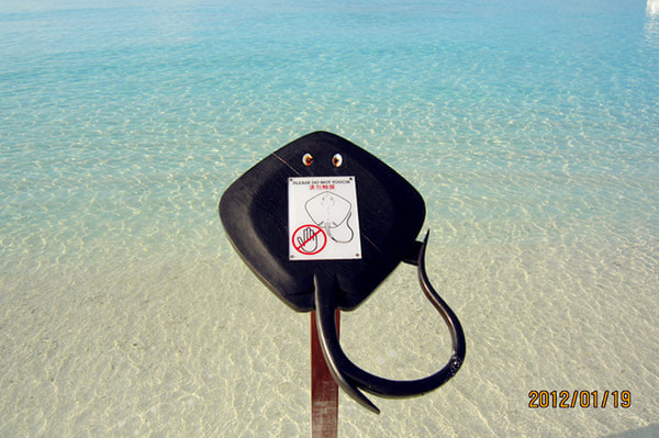 马尔代夫旅游攻略图片