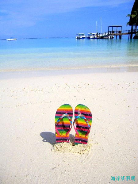 马尔代夫：香格里拉薇宁姬莉岛,马尔代夫游记，海岸线假期