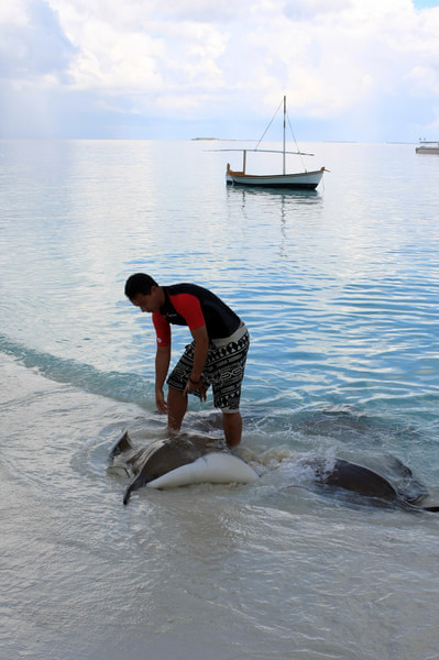 马尔代夫图片 马尔代夫图片