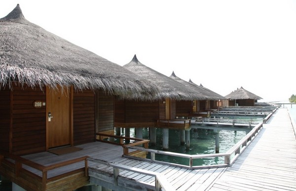 马尔代夫自助游图片