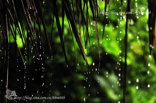 马尔代夫图片 马尔代夫图片