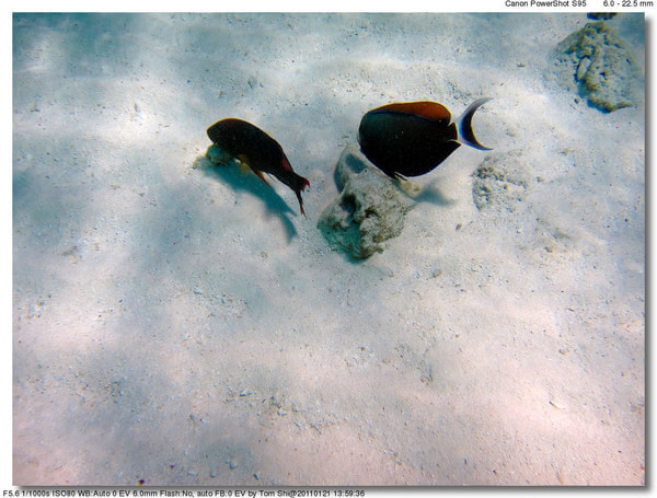 马尔代夫景点图片