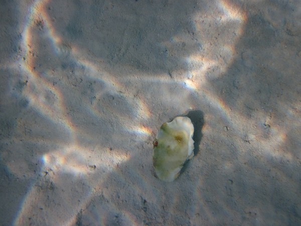 马尔代夫旅游攻略图片 马尔代夫旅游攻略图片