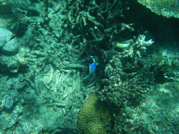 马尔代夫景点图片