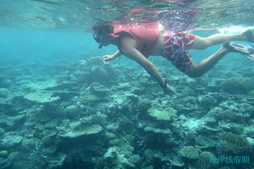 畅游在那一望无际的蓝，马尔代夫薇拉瓦鲁岛浮潜照片整理,马尔代夫游记，海岸线假期