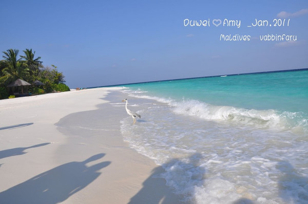 马尔代夫景点图片