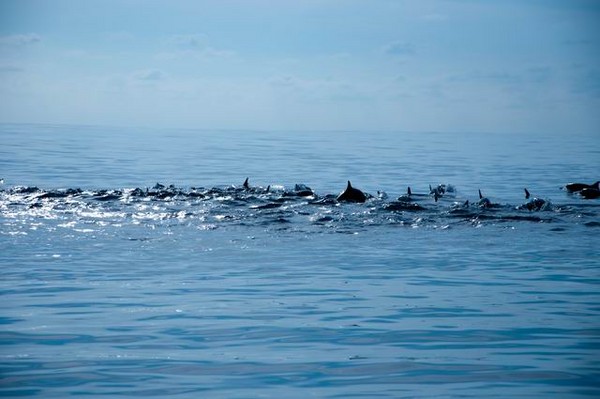 马尔代夫旅游攻略图片