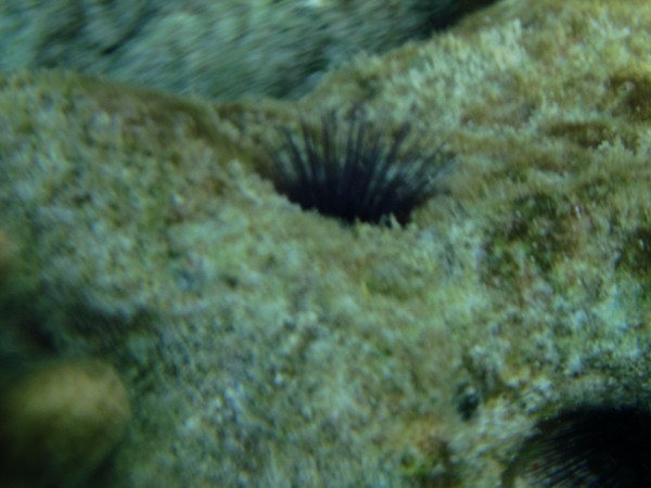 马尔代夫自助游图片