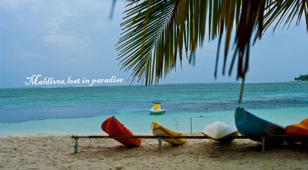 马尔代夫自助游图片