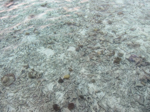 马尔代夫景点图片