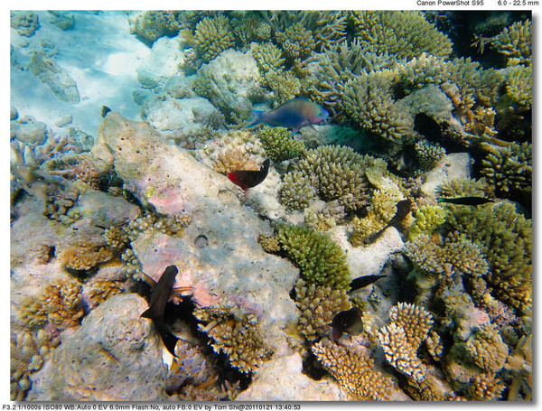 马尔代夫景点图片