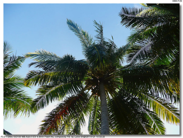 马尔代夫旅游攻略图片