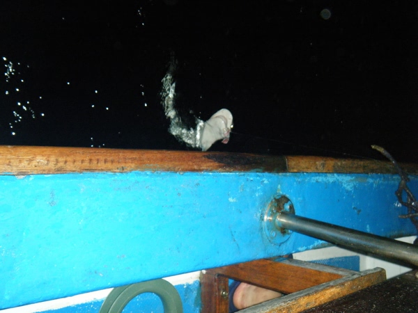 马尔代夫旅游攻略图片