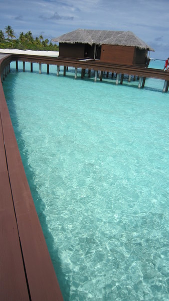 马尔代夫自助游图片