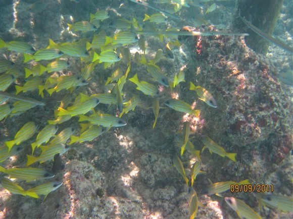 马尔代夫自助游图片