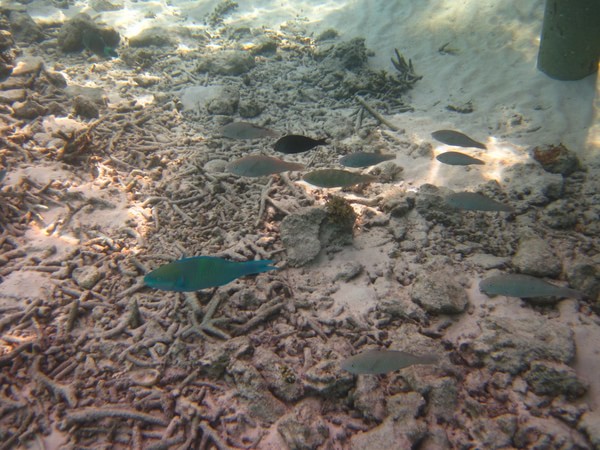 马尔代夫景点图片 马尔代夫景点图片
