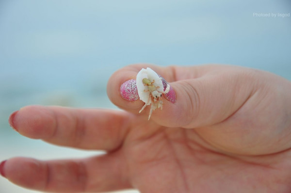 马尔代夫图片 马尔代夫图片