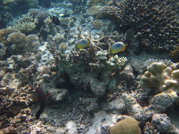 马尔代夫景点图片 马尔代夫景点图片